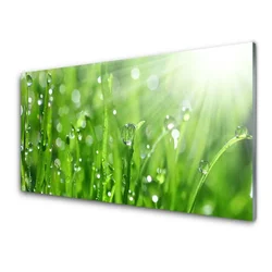 tulup.si Slika na steklu Narava grass drops 120x60 cm 4 obešalnika