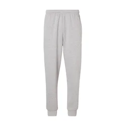 THE NORTH FACE Hlače EVOLUTION SIMPLE DOME pegasto siva