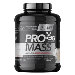 Basic Supplements Pro Mass Gejner, Ukus Vanila, 2.6kg
