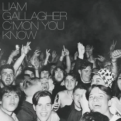 posneti mediji GALLAGHER L.- CMON YOU KNOW, (700050)