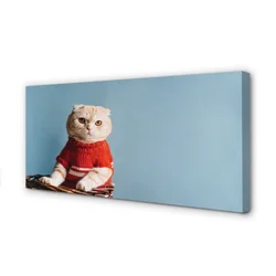 tulup.si Slika na platnu Sedi mačka 120x60 cm