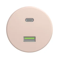 Kliklap - Retro USB utičnica A+C bez okvira, staroružičasta