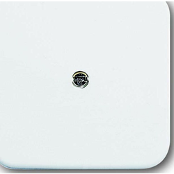 Busch-Jaeger Busch-Jaeger osrednji disk aws VDo 2536-214, (20891776)
