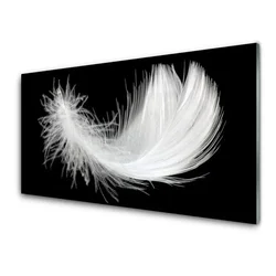 tulup.si Steklena slika Pero art 140x70 cm 2 obešalnika
