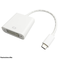 FAST ASIA adapter USB C 3.1 na DVI (m/Ĺľ)