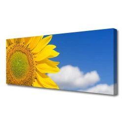 tulup.si Slika na platnu Sončnična heaven oblaki 125x50 cm