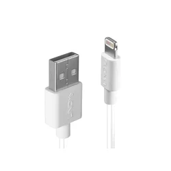 Lindy 31325 USB cable 0.5 m 2.0 USB A White