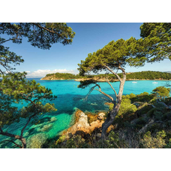 Ravensburger - Puzzle Beautiful view 500 - 500 kosov