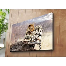 Wallity Dekorativna slika na platnu, 70x100cm, Šarena