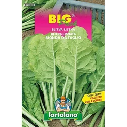 BLITVA LISTNA MANGOLD BIG PACK 20gr