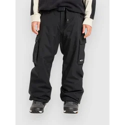 Quiksilver Snow Down Cargo moške hlače true black