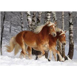 D-Toys - Puzzle Horses Magic: Halflinger III Težavno - 240 kosov