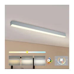 Brilagi - LED plafonsko svetlo za kupatilo SLEEKLINE LED/40W/230V srebrno IP44