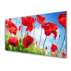 tulup.si Slika na steklu Rastlinskih mak naravi 100x50 cm 2 obešalnika