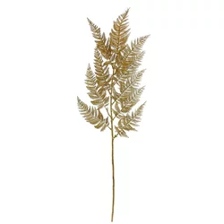 Shishi Zlata praprot, 96 cm