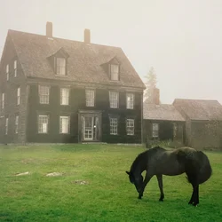 Lutalo - The Academy (Meadow Green Coloured) (LP)