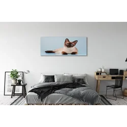 tulup.si Slika na platnu Leži mačka 125x50 cm