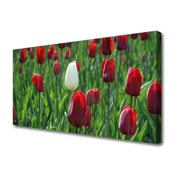 tulup.si Slika na platnu Tulipani rože narava 140x70 cm
