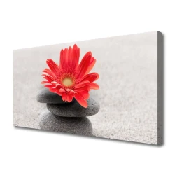 tulup.si Slika na platnu Gerbera cvet 100x50 cm