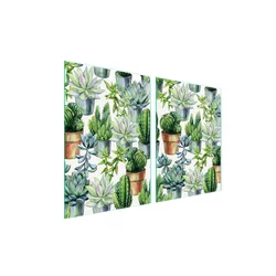 shumee Steklena zaščitna plošča za štedilnik 2x45x52 Cactus