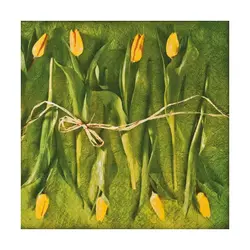 Serviete za decoupage Fresh Tulips - 1 kos (papirnate serviete)