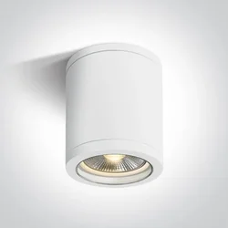 STROPNA SVJETILJKA 1XE27 10W PAR30 IP65 BIJELA