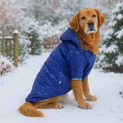 Paws & Whiskers Odelo za pse Bluecoat, Plavo