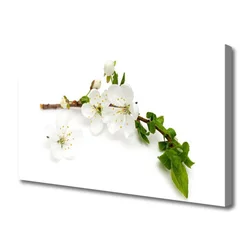 tulup.si Slika na platnu Branch flower narava rastlin 140x70 cm