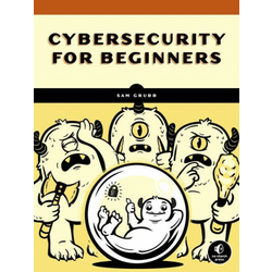 How Cybersecurity Really Works