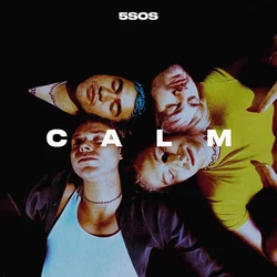 5 Seconds Of Summer Calm (Vinyl LP)