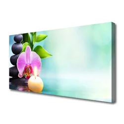 tulup.si Slika na platnu Orchid voda narava 100x50 cm