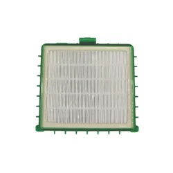 ROWENTA HEPA filter Rowenta RS-RT3317 za sesalnike, (5000534932)