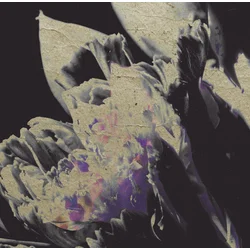 Various Artists - Traversee 04 - Moving Silhouettes (LP)