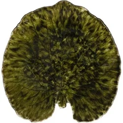 Servirni krožnik Costa Nova Alchemille Leaf Riviera 17,6 cm, temno zelen