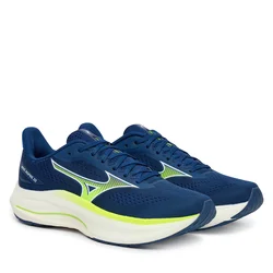 Mizuno Wave Inspire 22