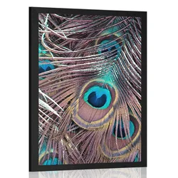 Plakat pavje pero - 60x90 white