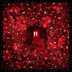 Iron and Wine - Hens Teeth (CD)
