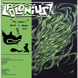 Polonius - You Didnt Hear It from Me (LP)