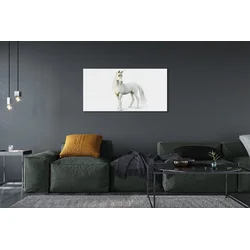 tulup.si Slika na akrilnem steklu Bela samorog 125x50 cm 2 obešalnika