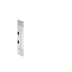 Rittal Rittal končni pokrov SV 9610.000 (PU2), (20891663)