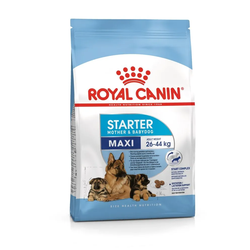 ROYAL CANIN hrana za pse MAXI STARTER MOTHER & BABYDOG 4kg
