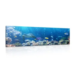 Slika tropske ribe - 135x45