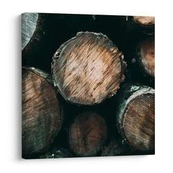 Slika struktura gozdnih debel - 30x30