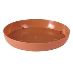 TERRA Miška PCE 16 TE (R624)