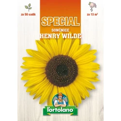 SONČNICE HENRY WILDE