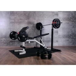 Gorilla Sports Profesionalna kosa klupa u setu (48 delova) ( 101001-00001-0001 )