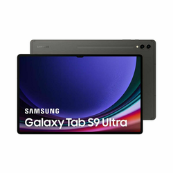 Tablet Samsung Galaxy Tab S9 12 GB RAM 14,6 256 GB Siva
