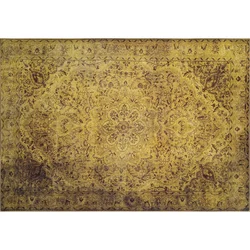 Conceptum Hypnose Tepih za predsoblje 75 x 150cms Chenille AL 24