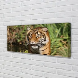 tulup.si Slika na platnu Tiger woods 125x50 cm