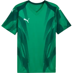 Puma Dres teamFINAL Graphic+